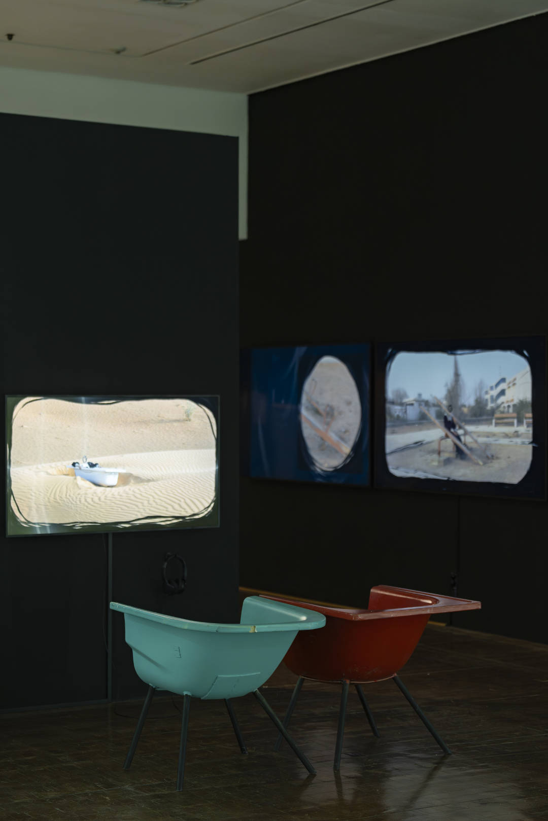 Proximities, installation picture, That Thing, Amphibian section 
