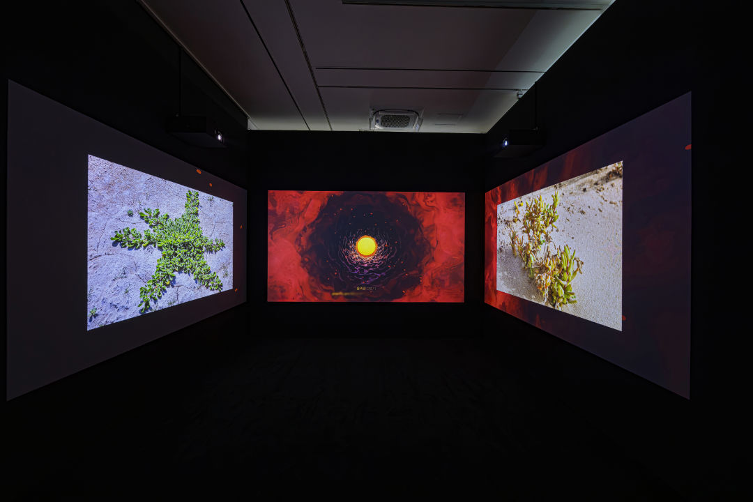 Ayman Zedani, The Desert Keepers 2022, Proximities; pic courtsey Seoul Museum of Art