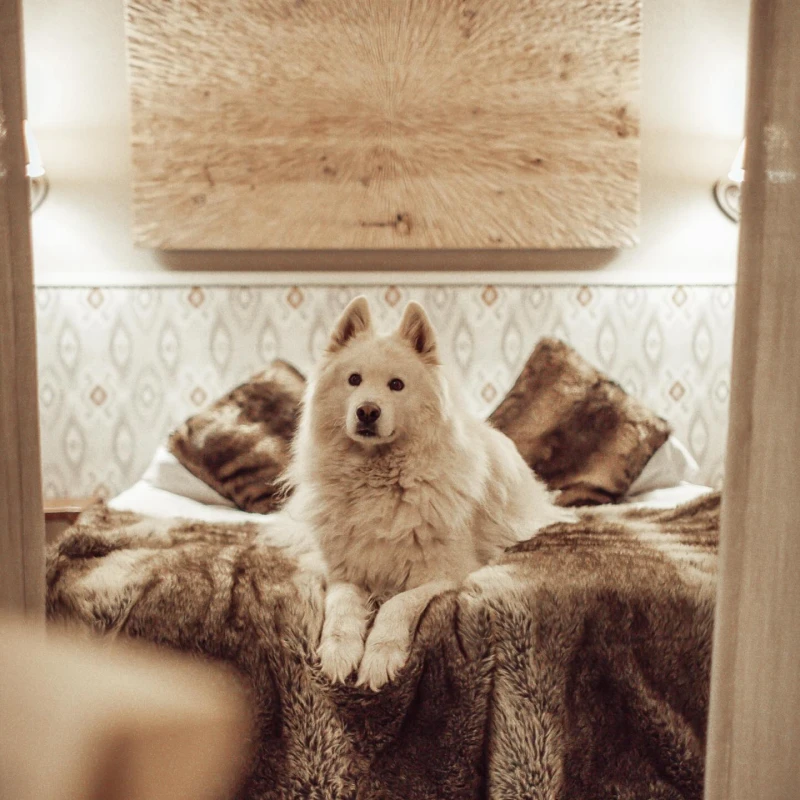 Instagram Gallery - Hotel Webflow Template