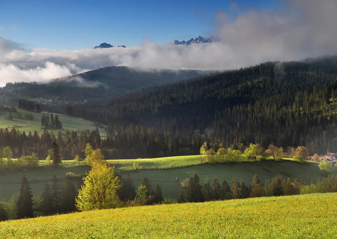 Atrakcje Bukowiny Tatrzańskiej w okolicy Aries - zdjęcie 1