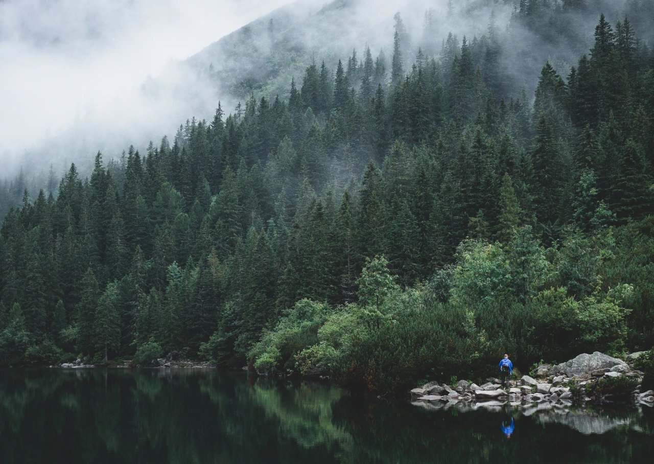 Atrakcje Bukowiny Tatrzańskiej w okolicy Aries - zdjęcie 6