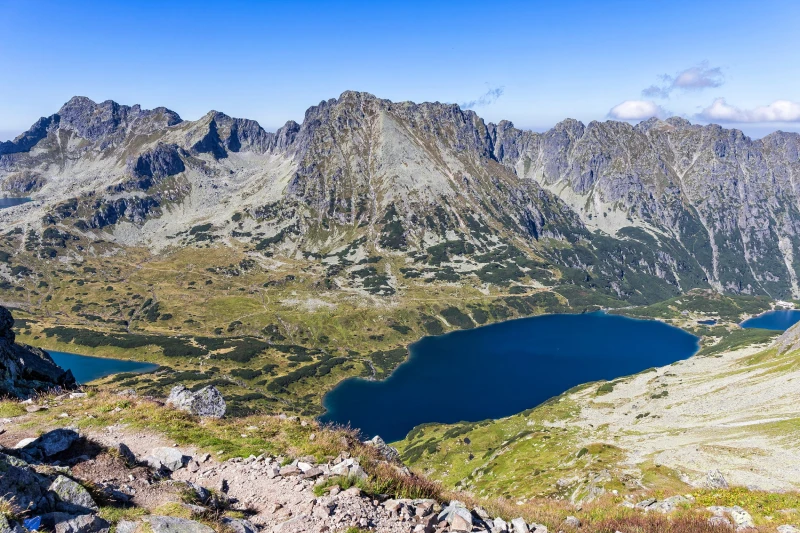 połacie kosodrzewiny