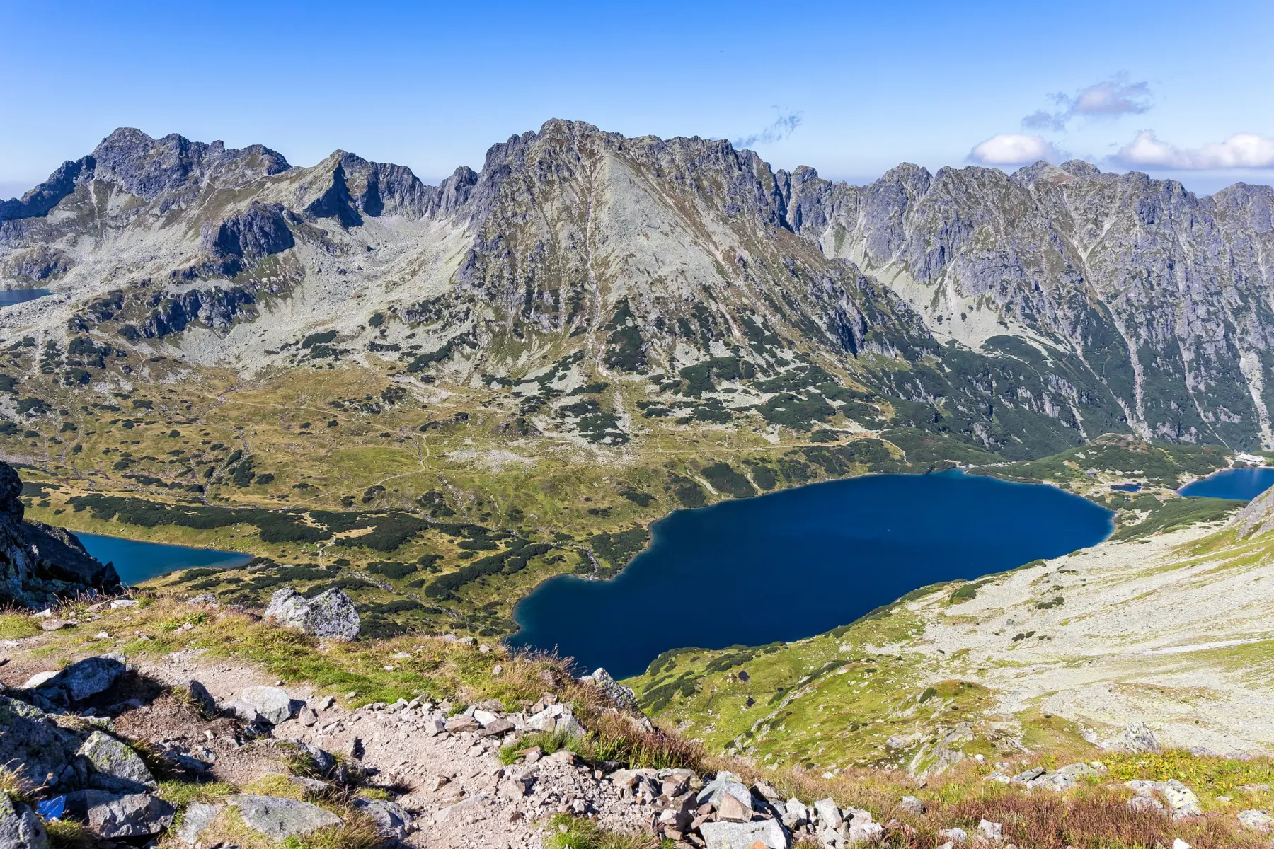 połacie kosodrzewiny