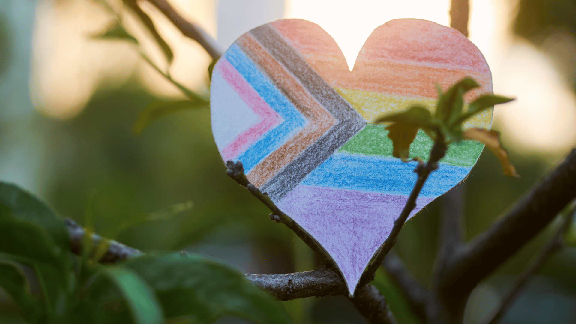 Pride flag design colored onto a paper heart, hanging in a tree.