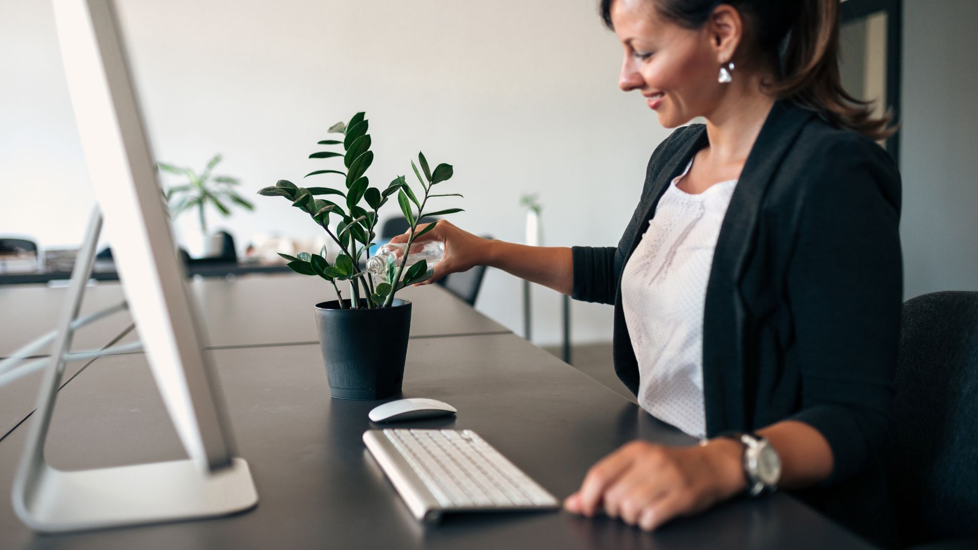A woman is watering a plan on her desk. We are looking at her from the side.