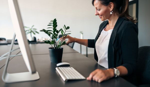 A woman is watering a plan on her desk. We are looking at her from the side.