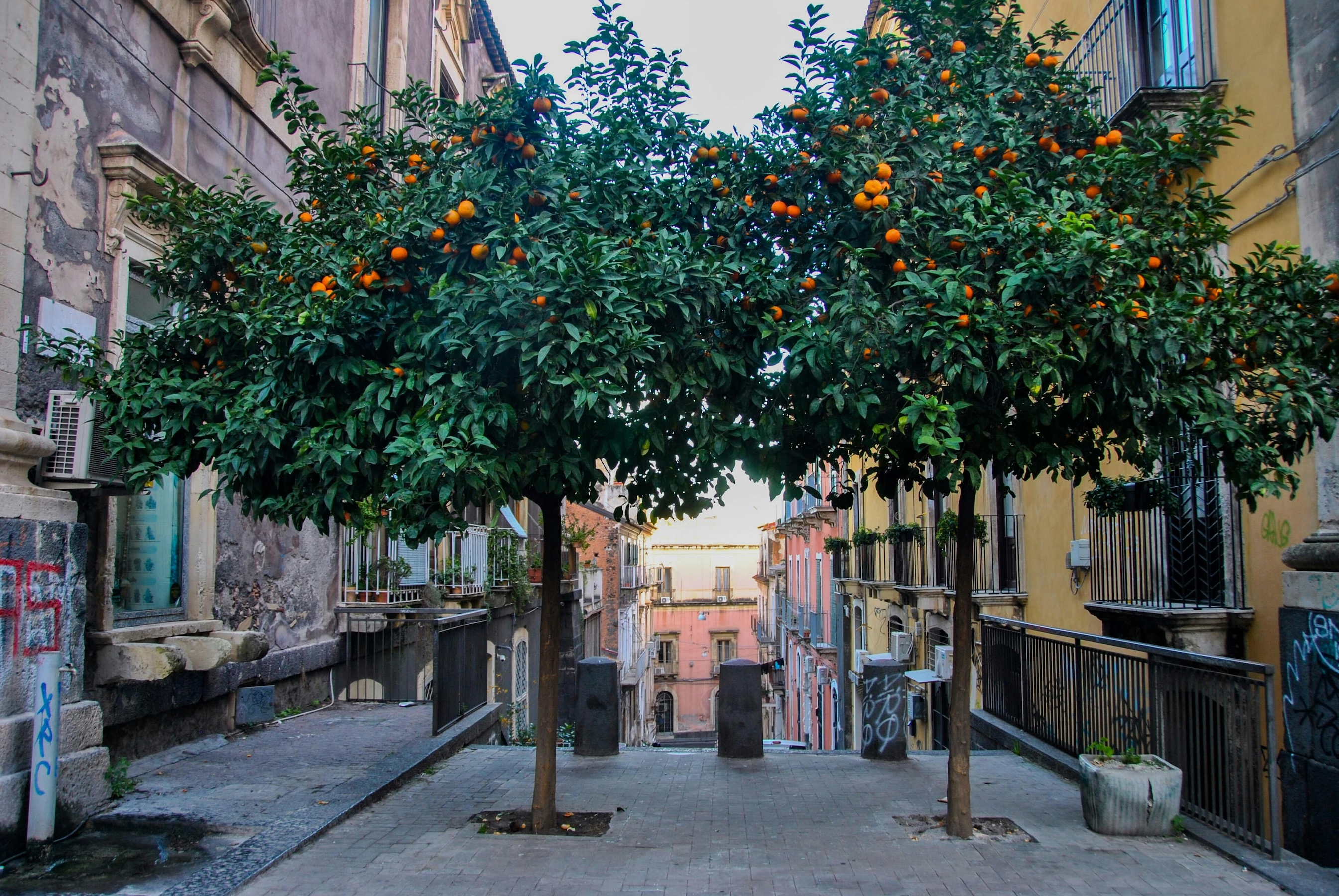 catania