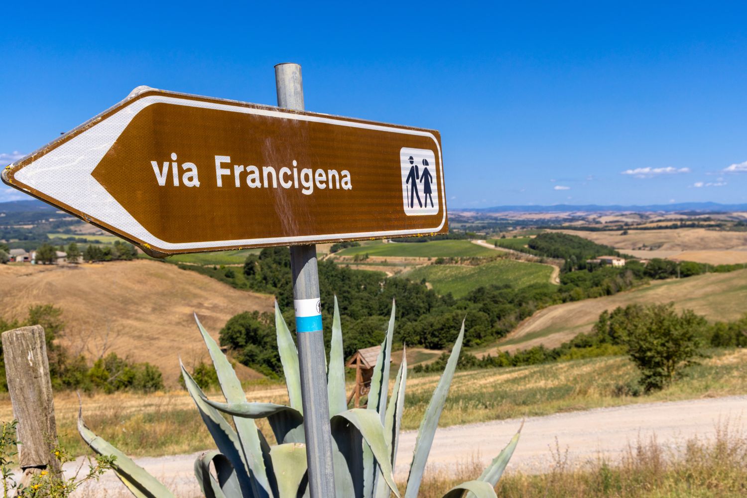Via Franigena