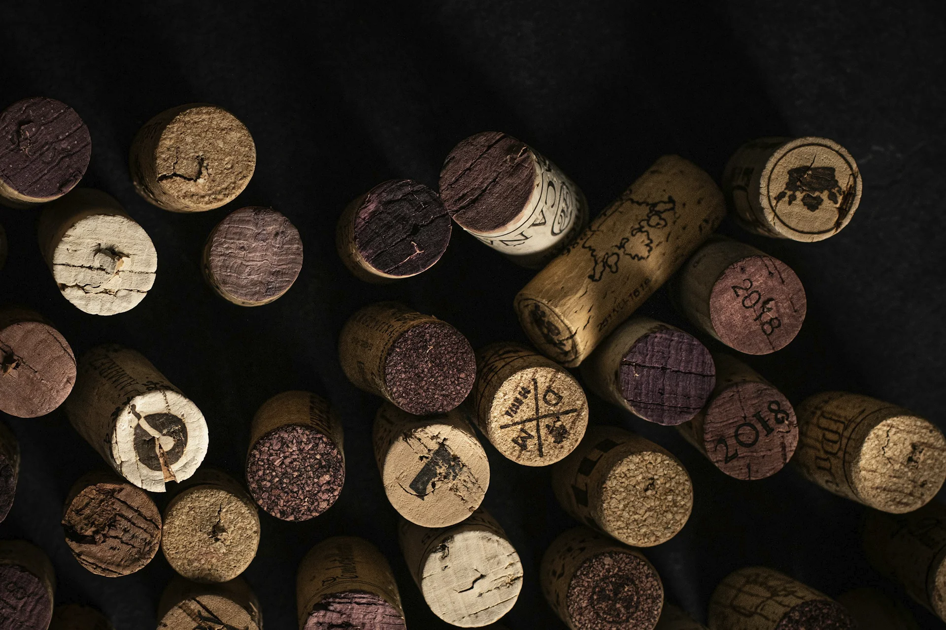 Wine Terms for Dummies: The Essential Guide for Wine Lovers and Beginners