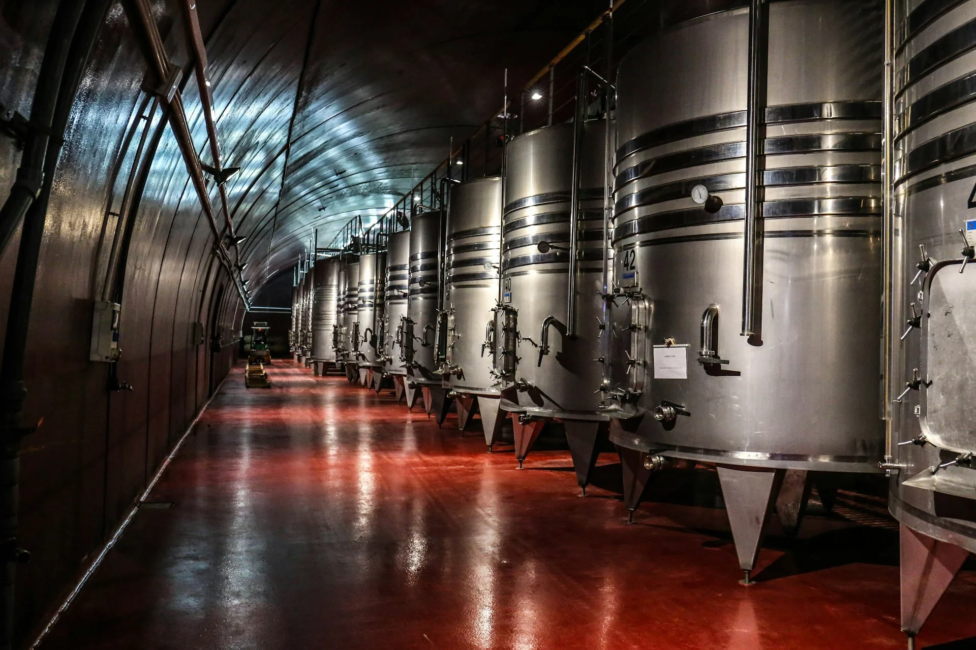 Indigenous vs. Commercial Yeasts: Which One Enhances Your Fermentation?