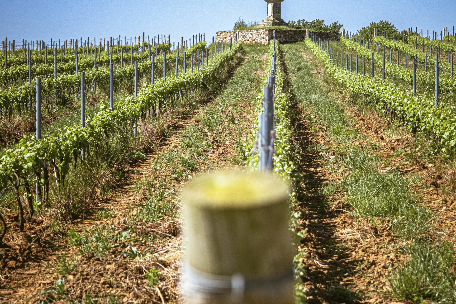 Biodynamic Viticulture: Science or Pseudoscience?