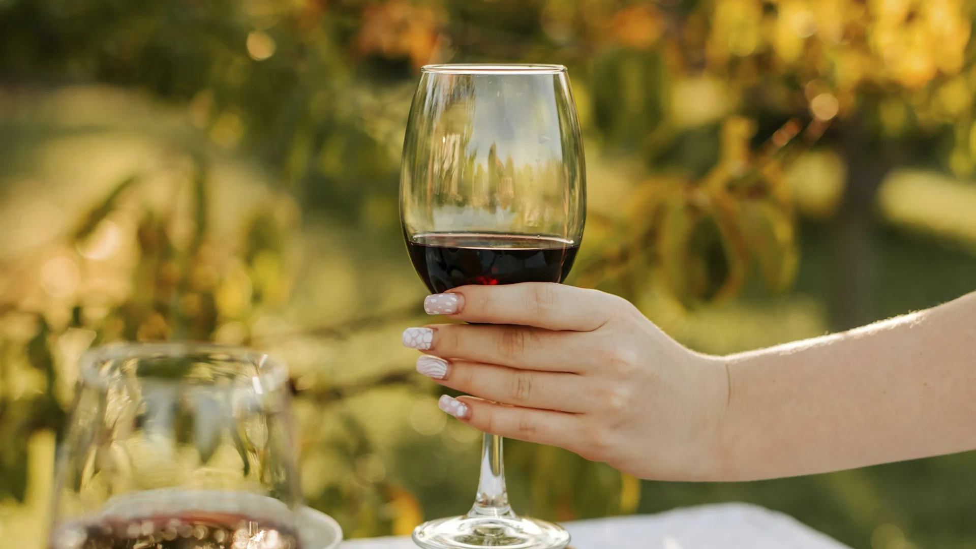 Alicante Bouschet: An In-Depth Wine Profile