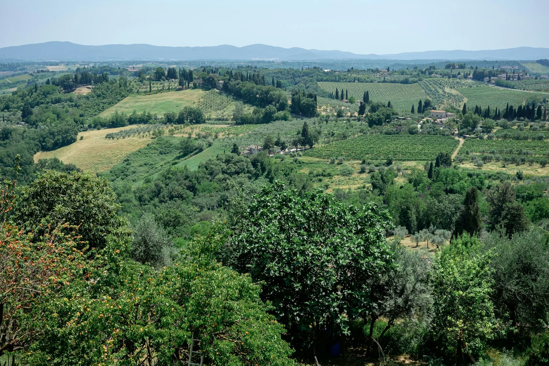 subregions