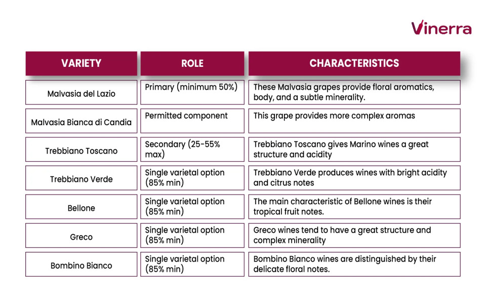 Grapes of the Marino DOC, as well as their role and characteristics