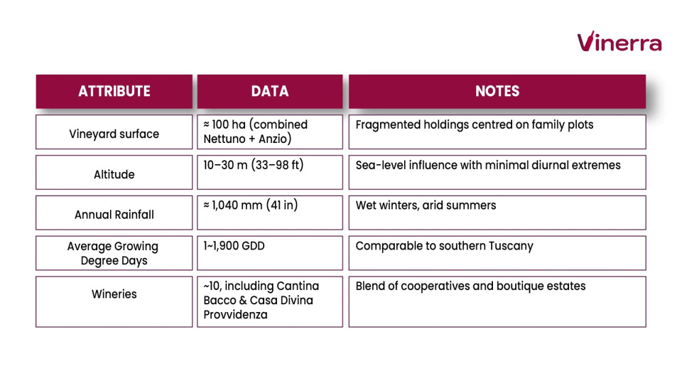 Table with the statistics of the Nettuno DOC