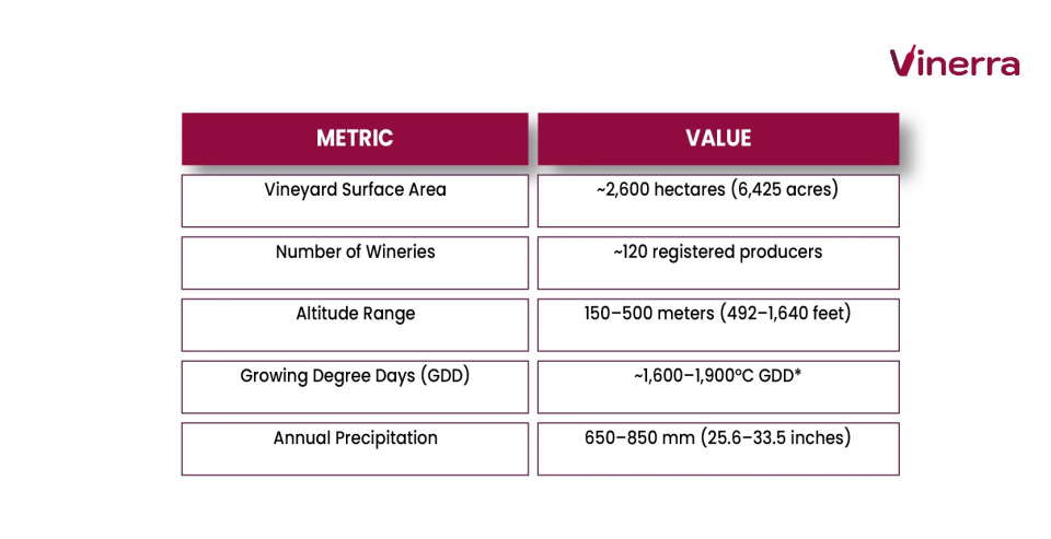 Table with statistics of the Orvieto DOC