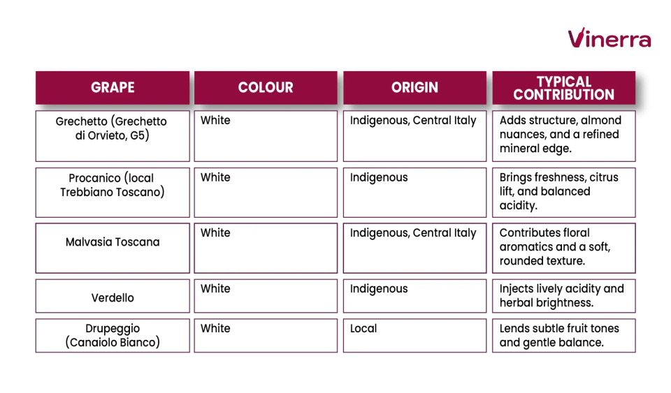 Table with the white Grapes of the Orvieto DOC