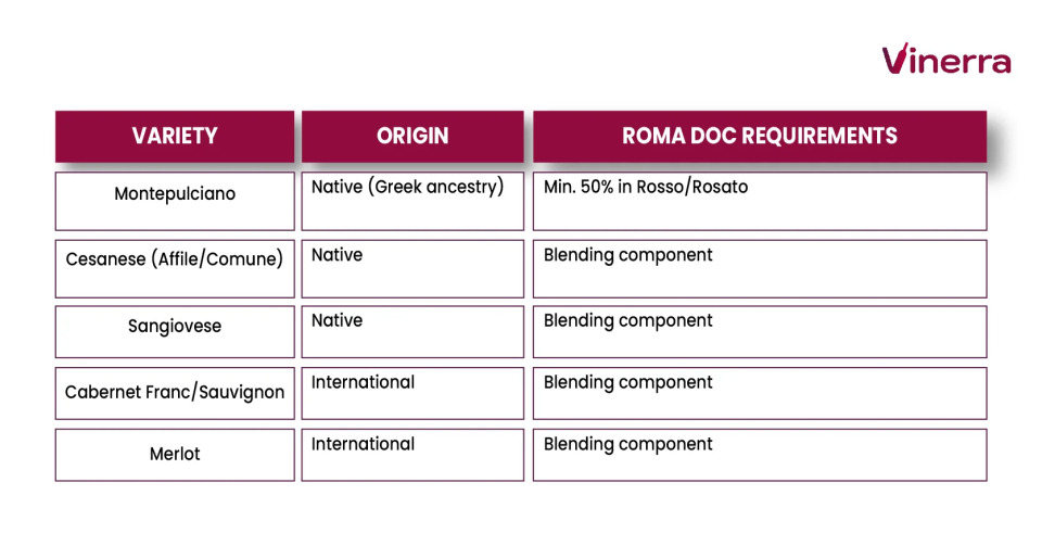 Table with the red grapes of the Roma DOC