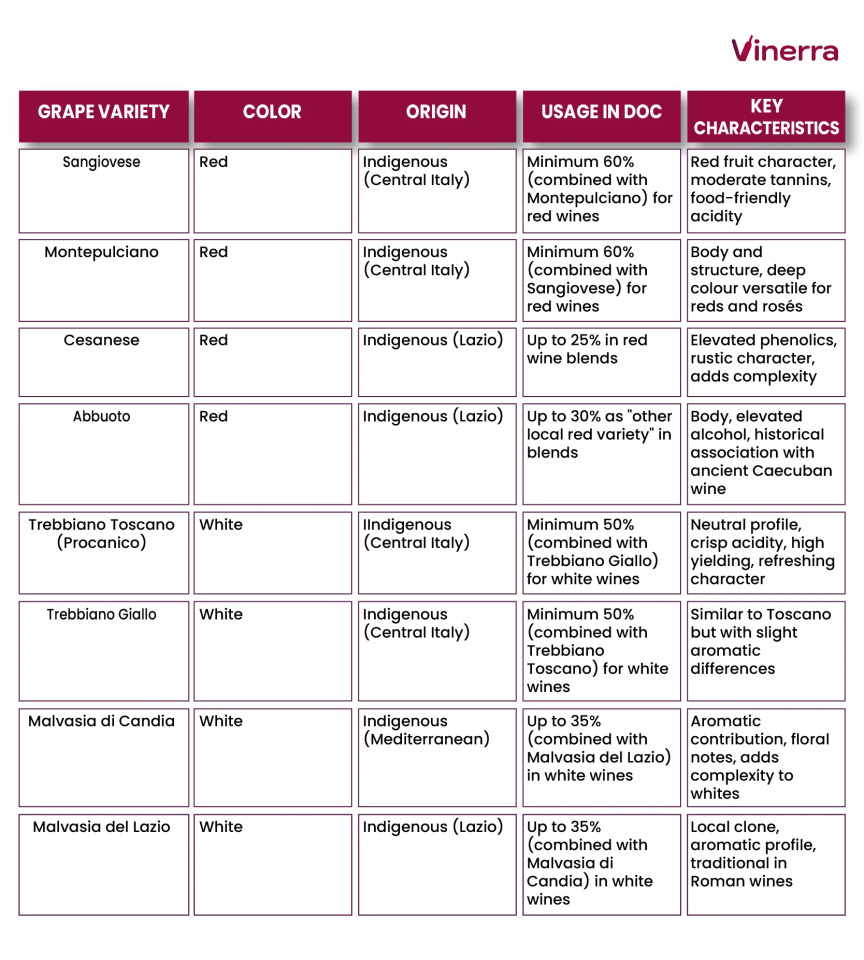 Table with the grapes of the Tarquinia DOC, their origin, usage and caracteristics.