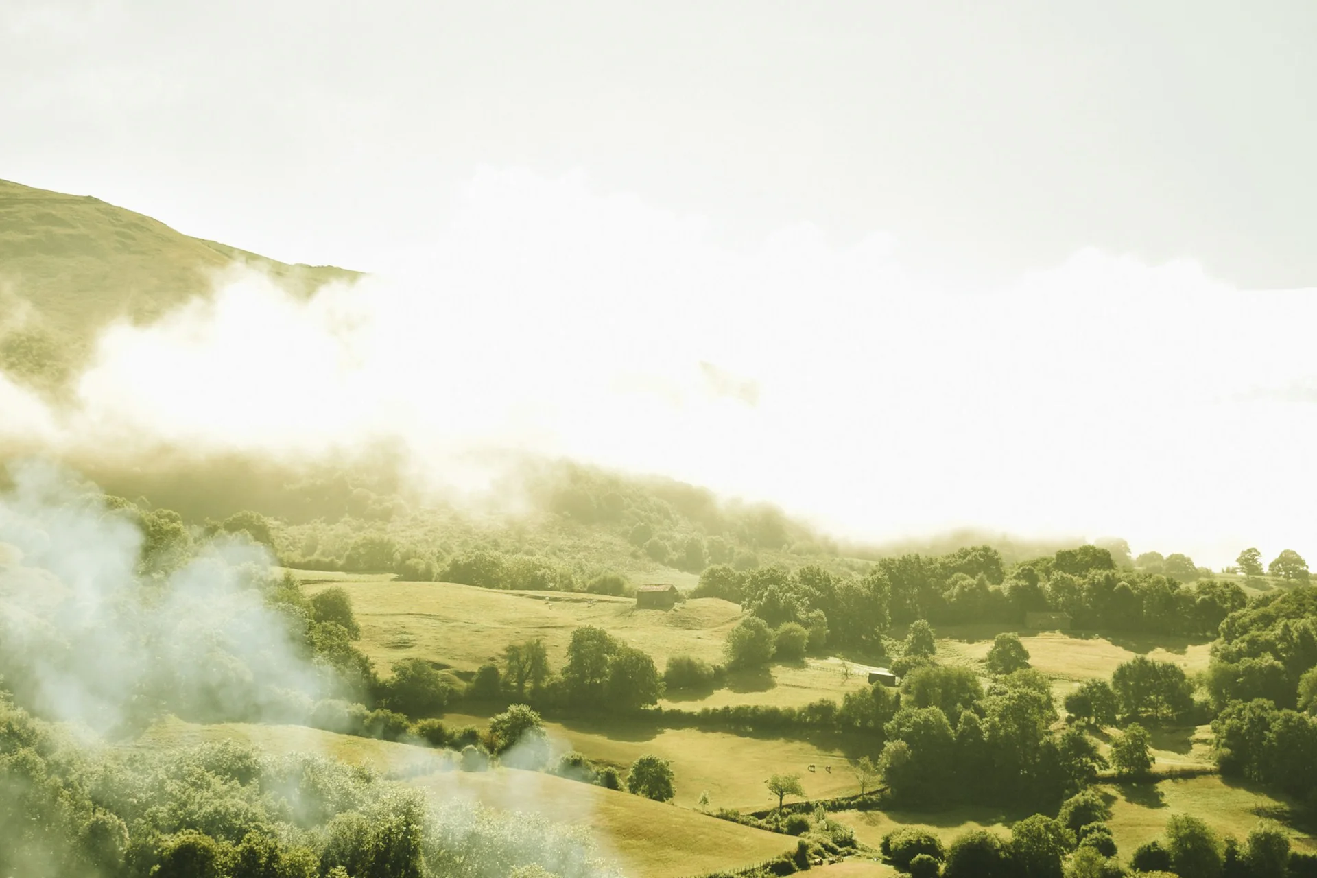 Hero Discover Subregion