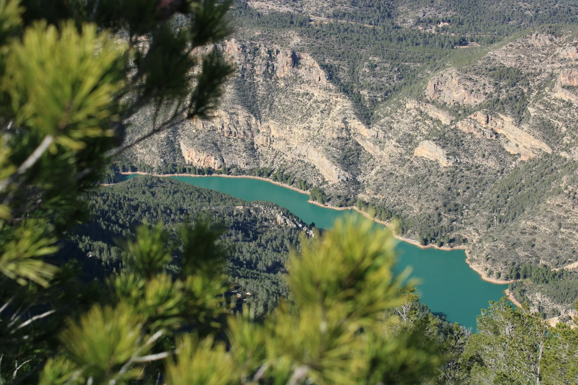 Ribera del Júcar DO