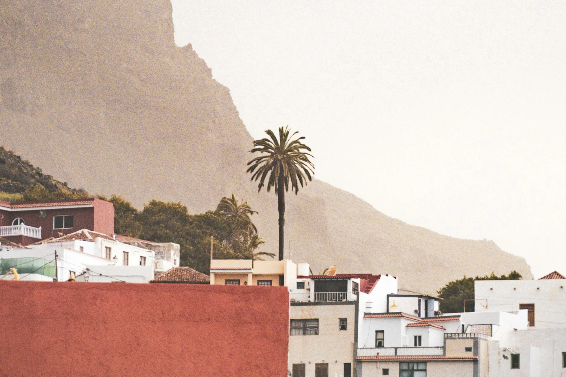 Tacoronte-Acentejo DO