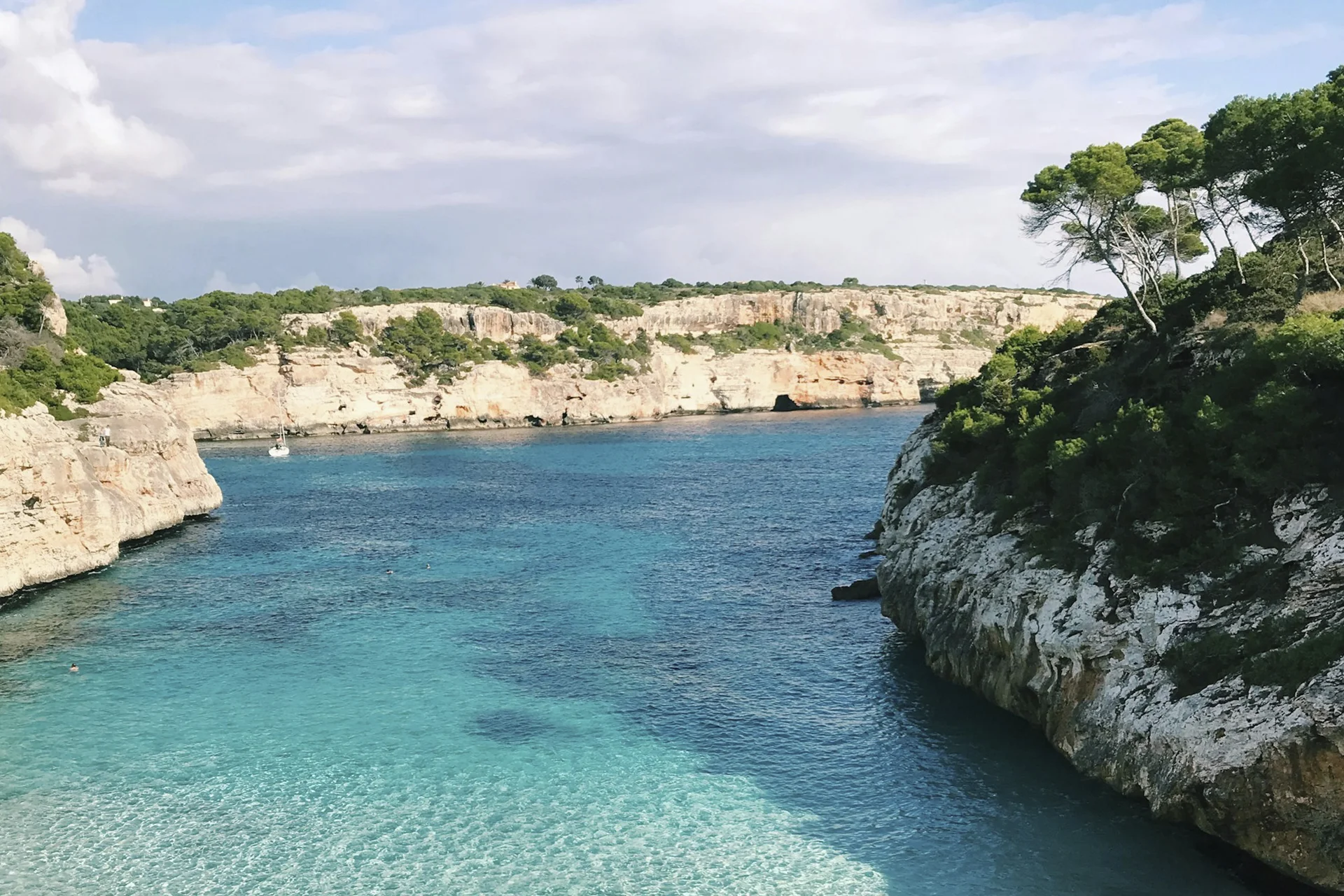 Hero Discover Subregion