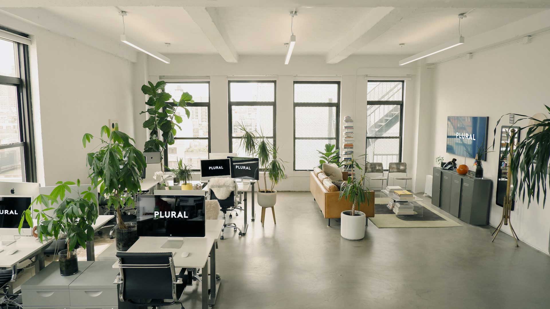 The Plural Studio – Plural, NYC Social Media Marketing Strategy Studio and Content Production