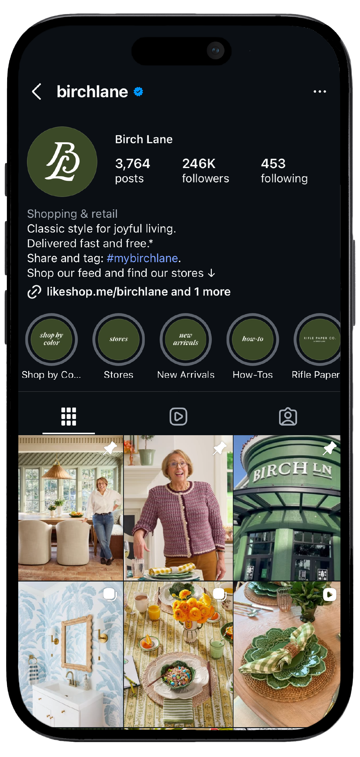 Smartphone displaying Birch Lane’s Instagram page, showcasing a mockup of the brand's social media interface