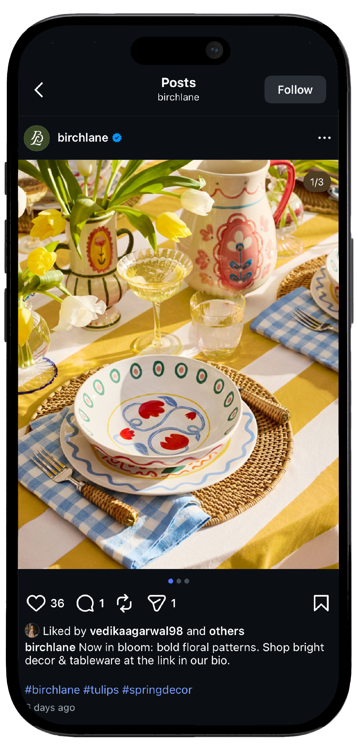 Smartphone displaying Birch Lane’s Instagram page, showcasing a mockup of the brand's social media interface