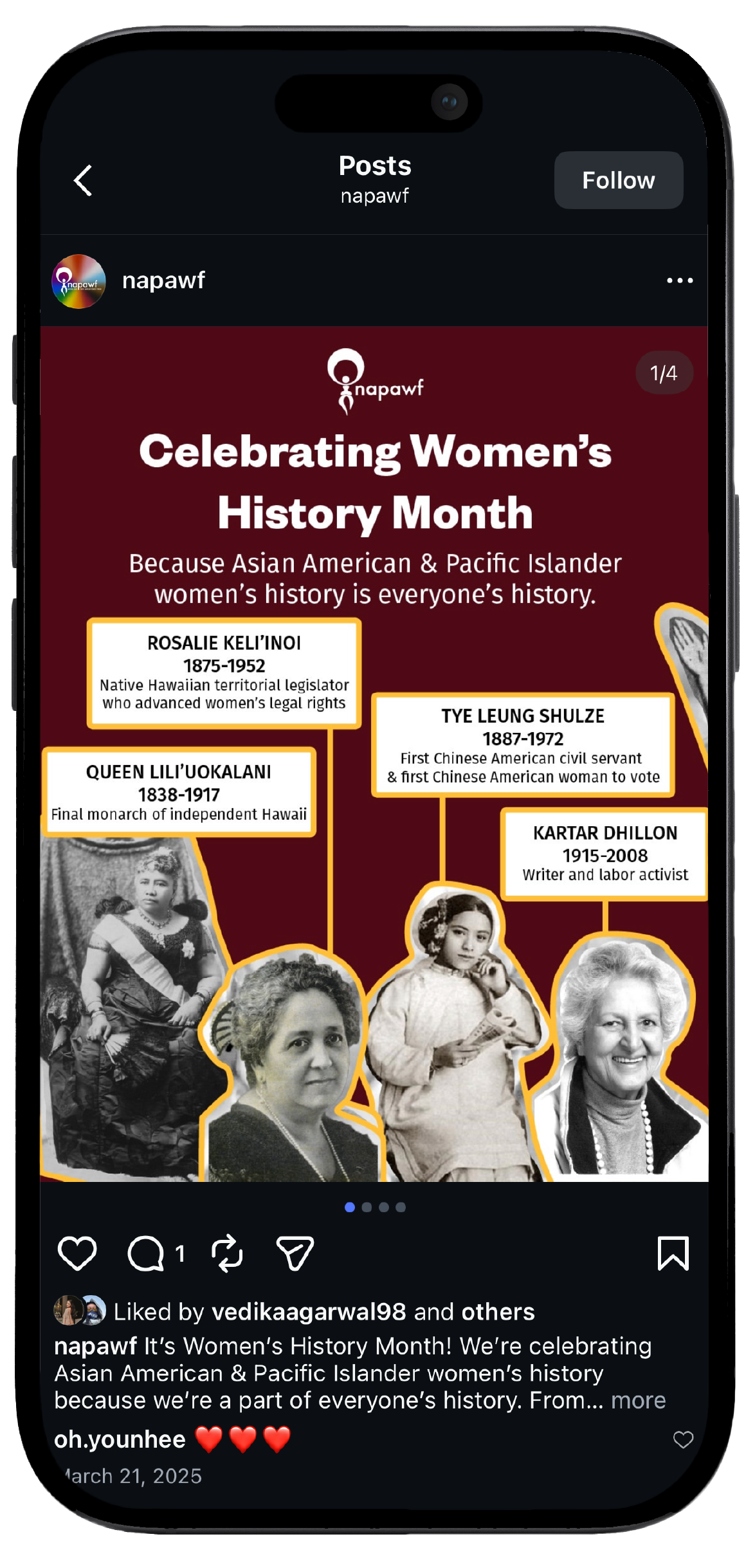 Smartphone displaying NAPAWF’s Instagram page, showcasing a mockup of the brand's social media interface