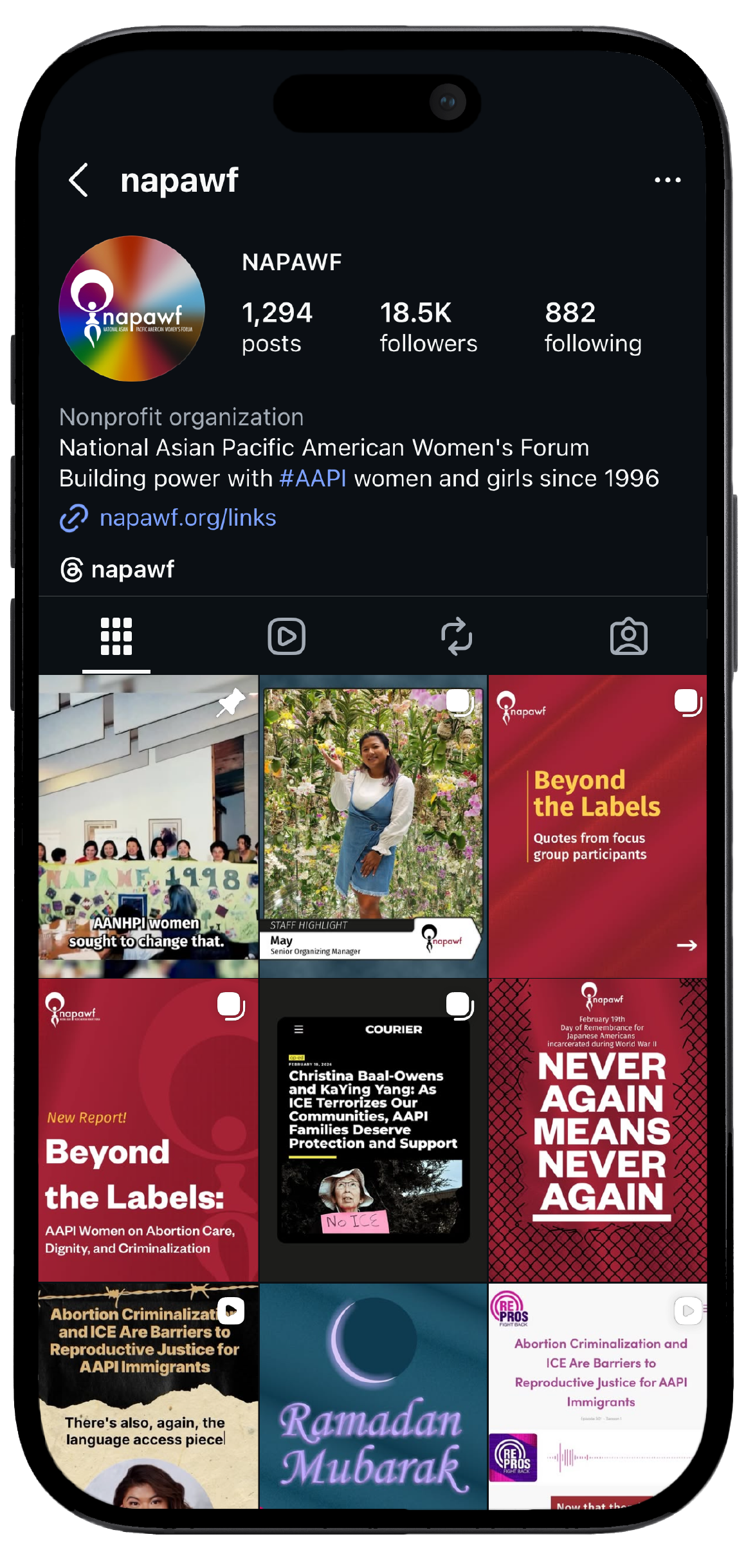 Smartphone displaying NAPAWF’s Instagram page, showcasing a mockup of the brand's social media interface