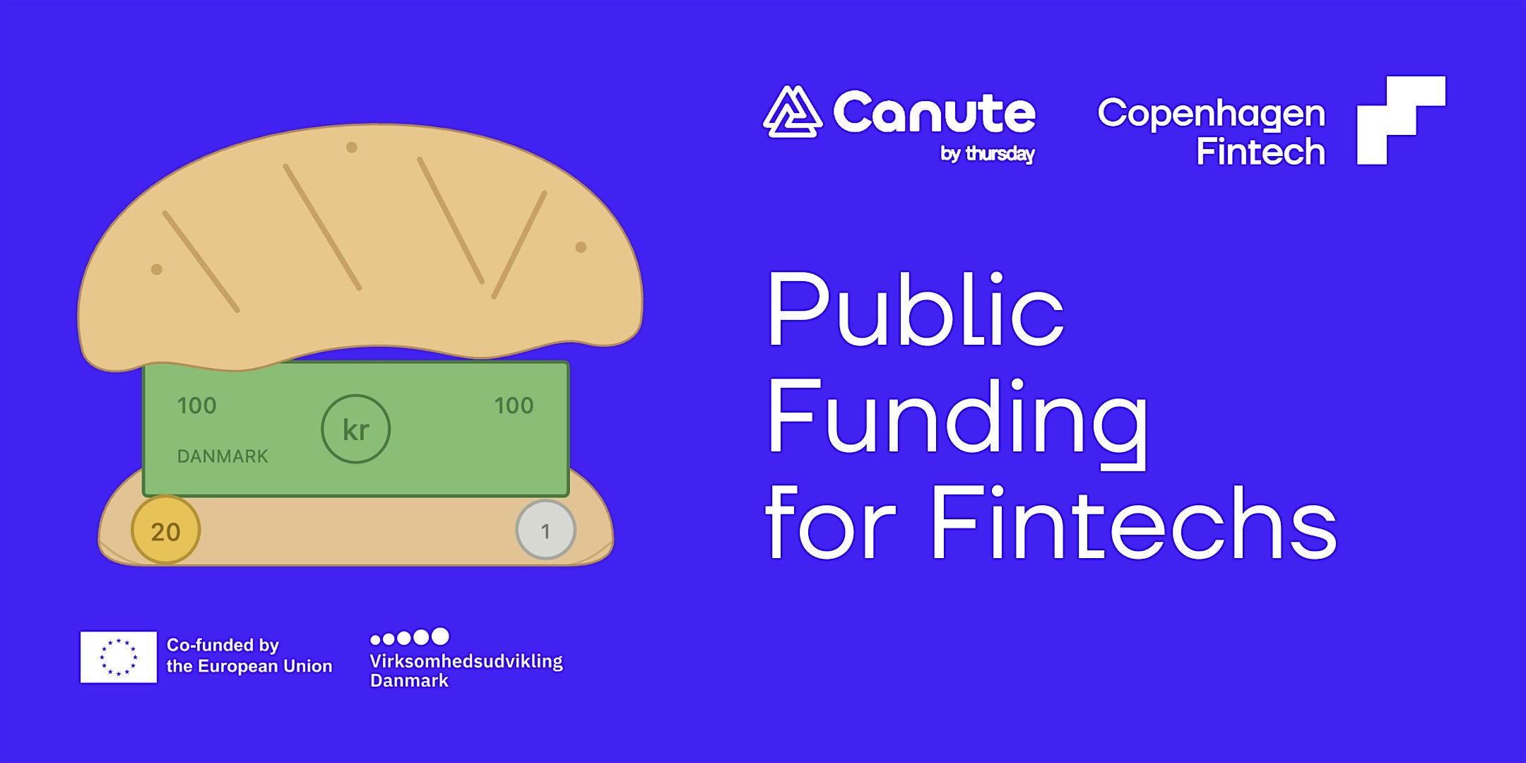 Public Funding for Fintechs