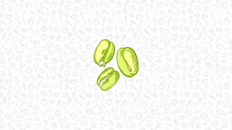 an illustration of three sprouted grains