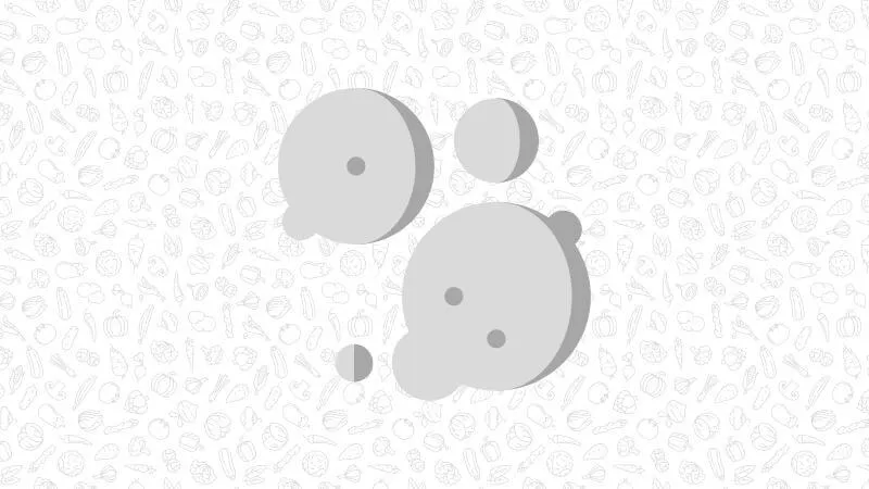 an illustration of of nutritional yeast (microscopic)