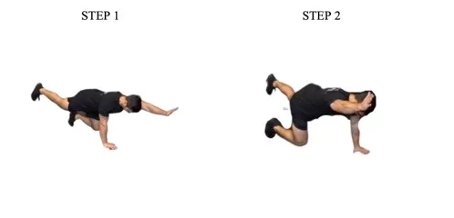 the bird dog explained in two steps