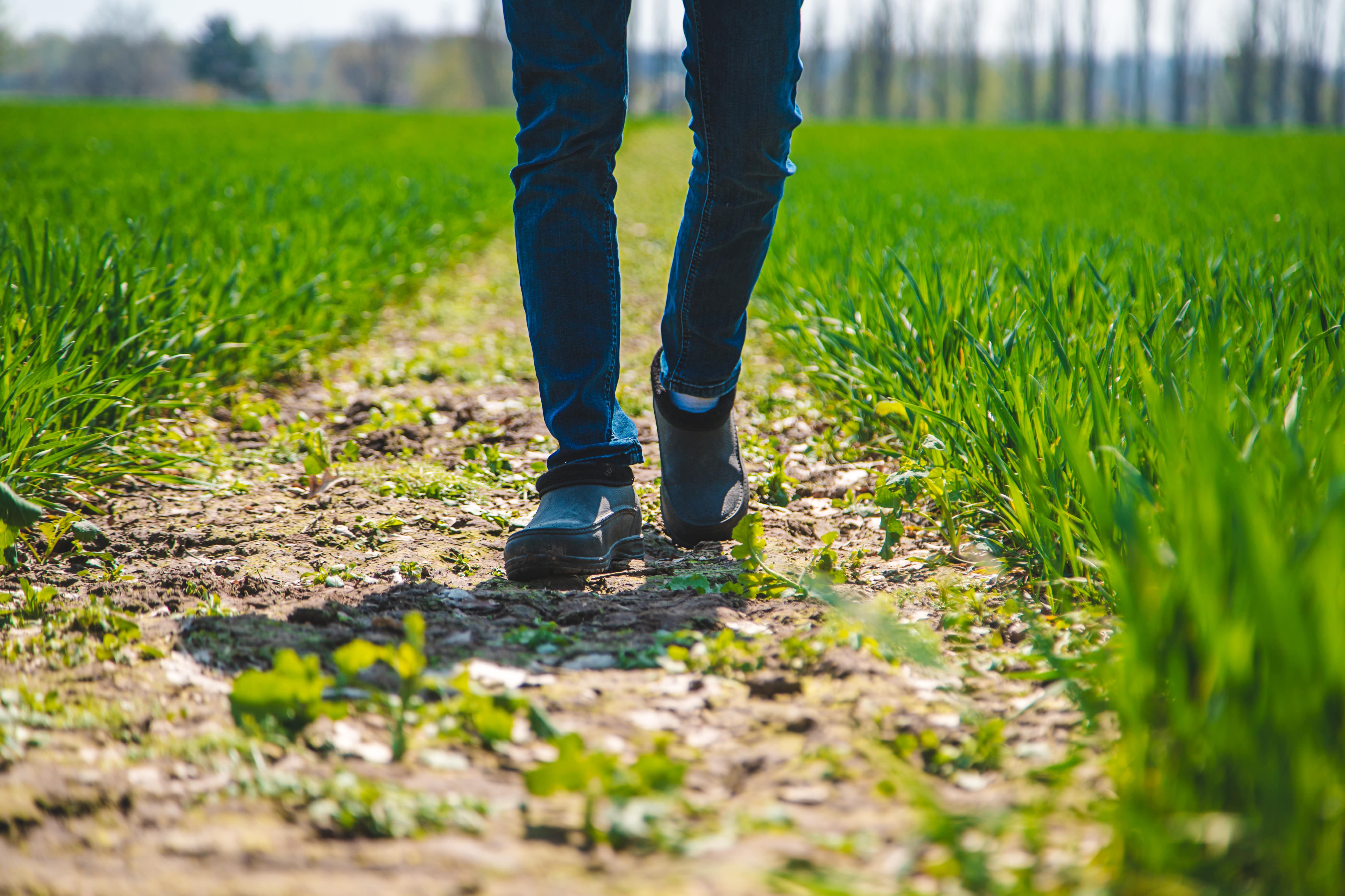 man walking through field