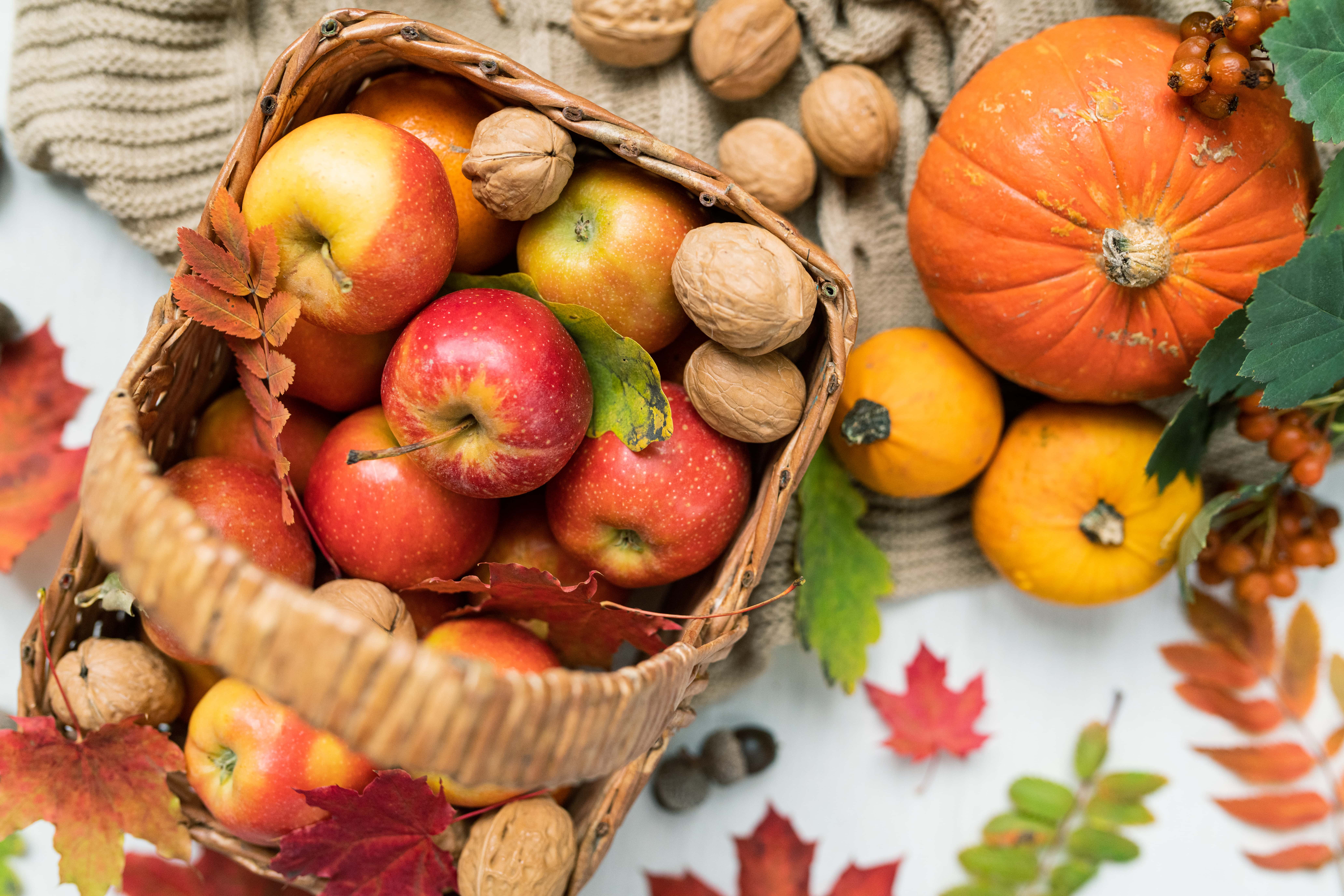 apples and pumpkins