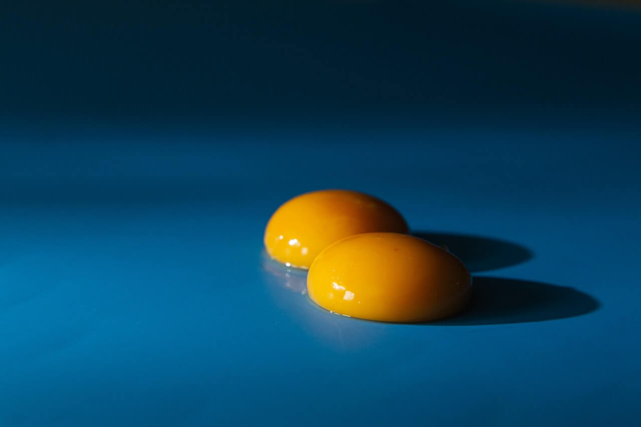 Two vibrant yellow egg yolks on a deep blue background
