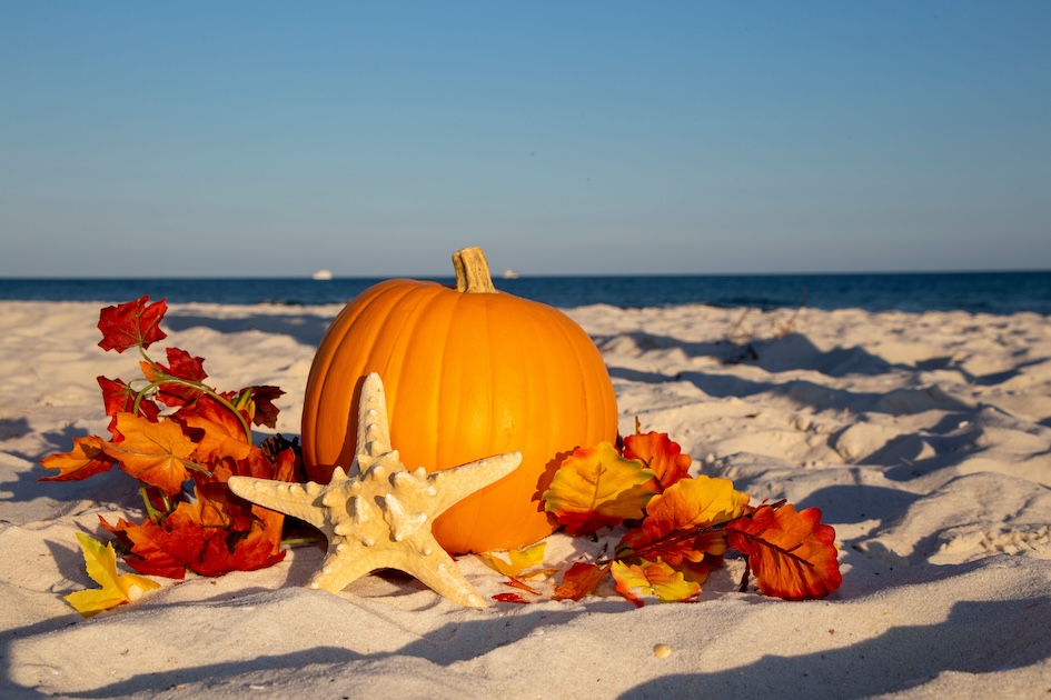 As Summer Wraps Up in Ponte Vedra Beach, Here’s Your Fall Bucket List