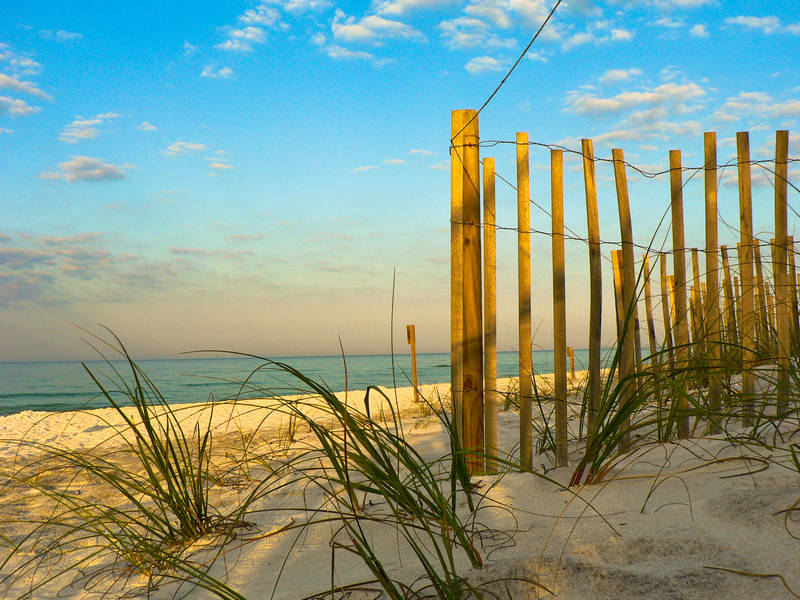 Exploring Northeast Florida Waterfront & Wetland Property: What You Need to Know Before You Buy