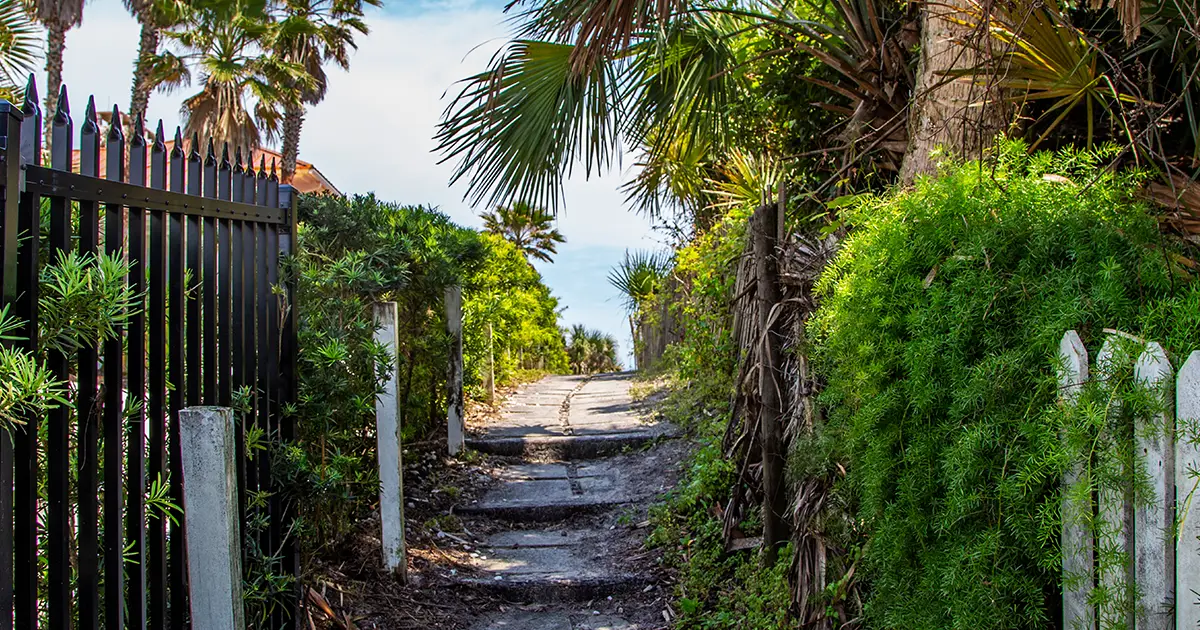 The Grove and Grove North