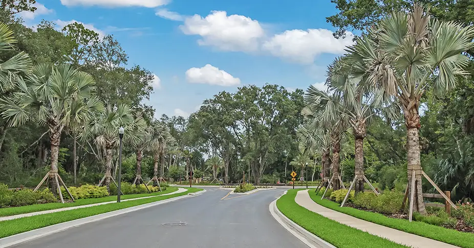 Twenty Mile in Nocatee