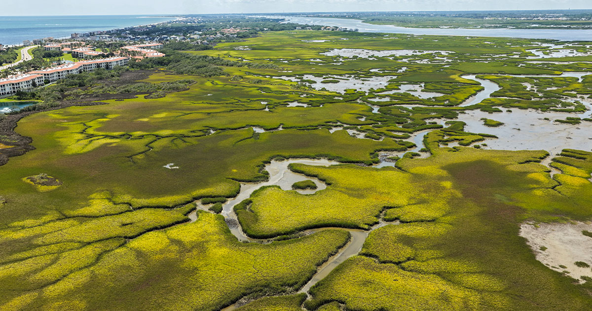 St. Johns County Land Conservation Referendum 2026: What It Means for Residents