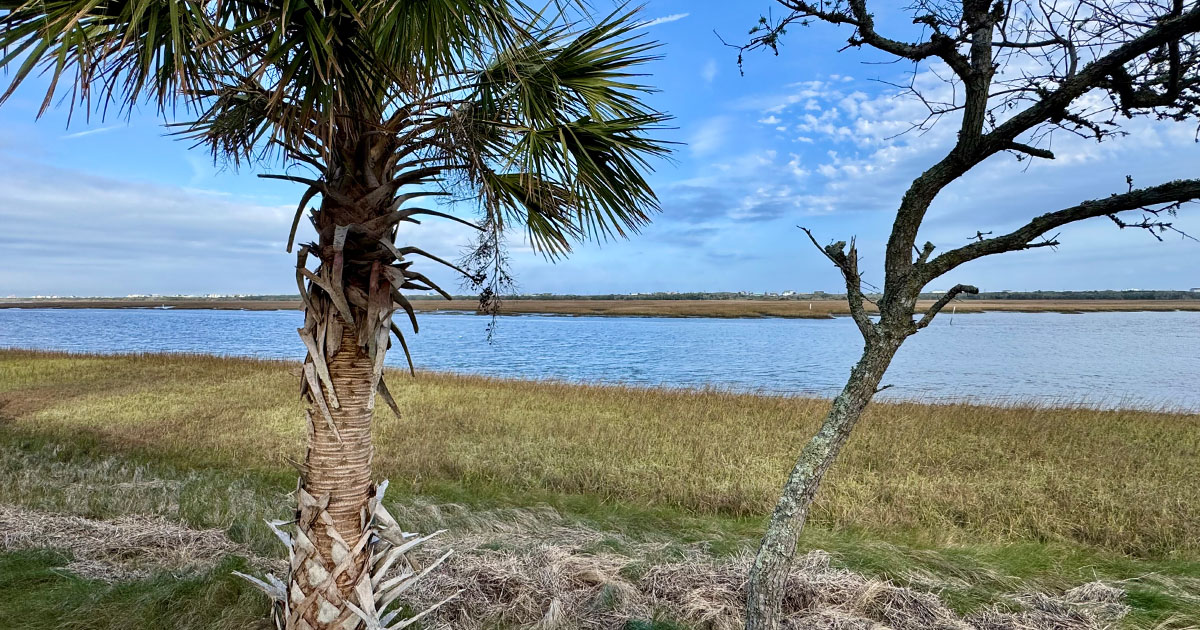 Inter-coastal water way in St. Johns county
