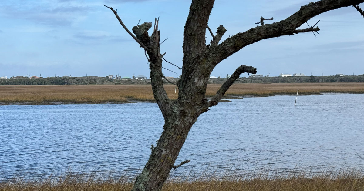 View of Guana looking east toward Atlantic ocean in South Ponte Vedra Beach