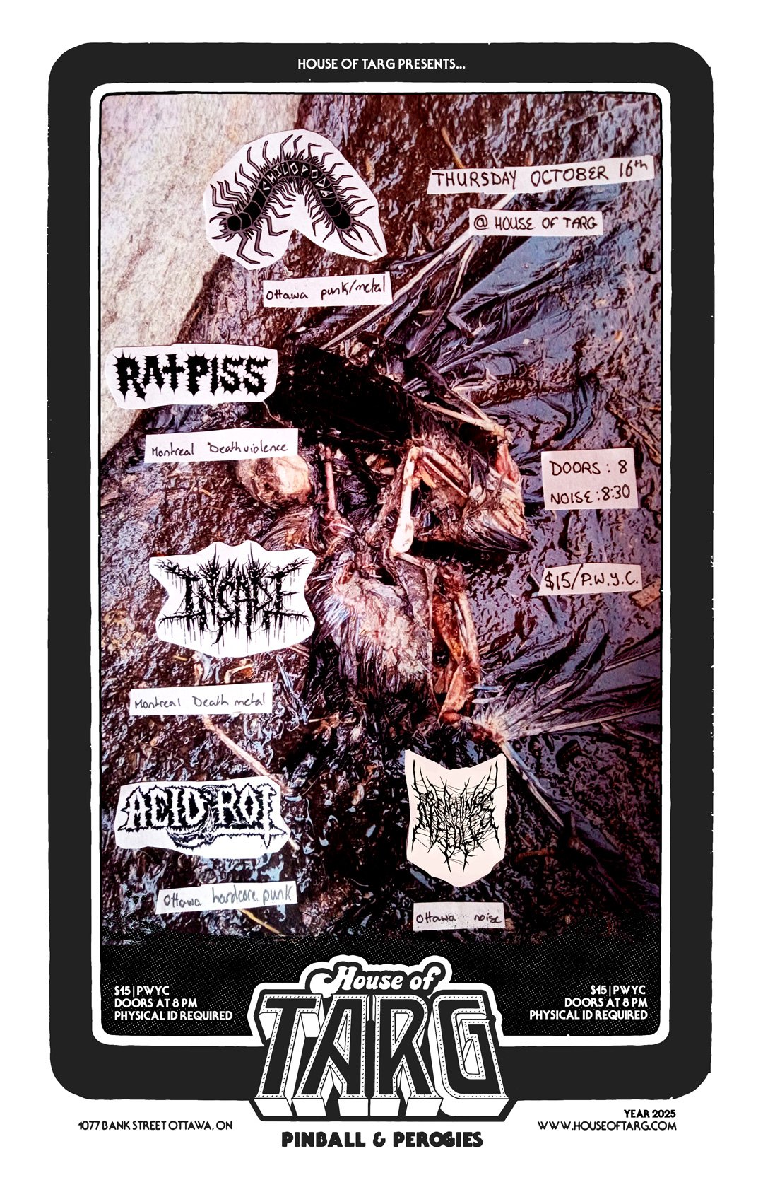 Gig image