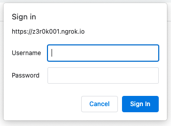 HTTP Basic Auth with ngrok