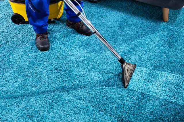 Carpet cleaning process - professional vacuum extraction