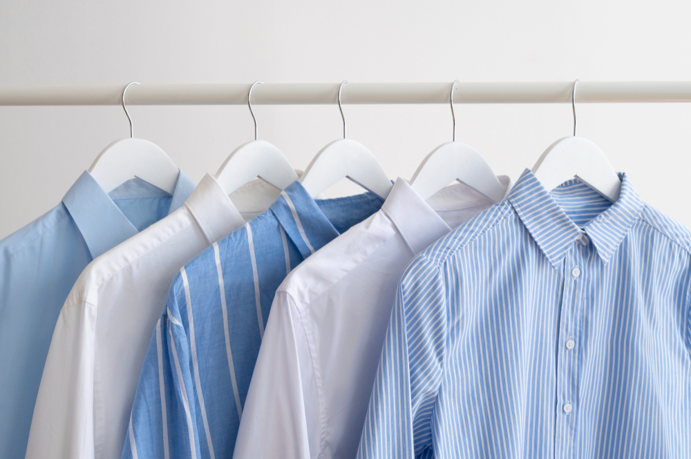 Professional laundry and dry cleaning service - pressed shirts on hangers